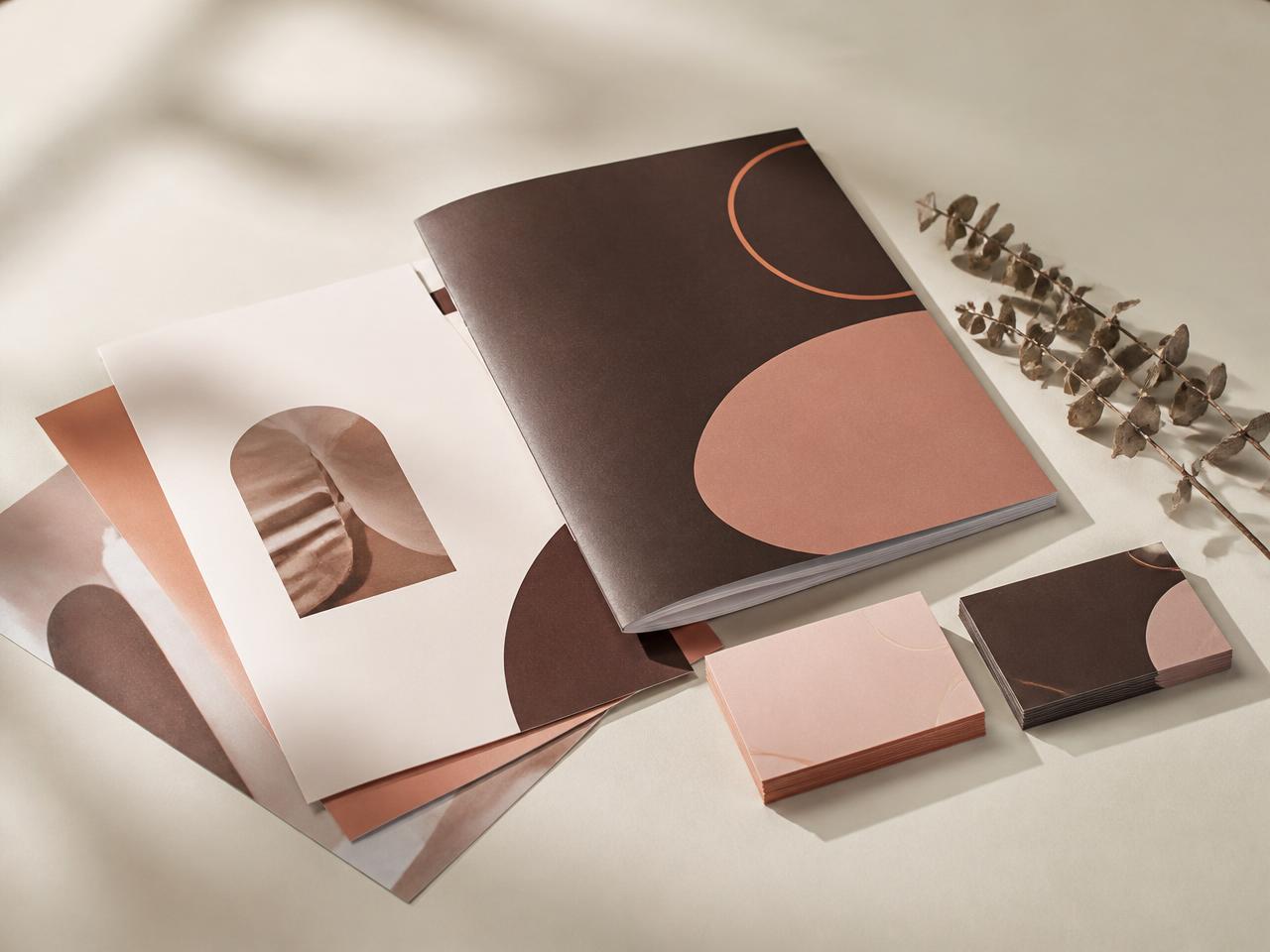 Printed brand collateral including flyers, a booklet, and business cards